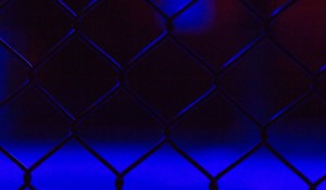 The High-Stakes Bout Between Jack Catterall and Regis Prograis